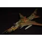 SU-20R Last Flight, 1/72 - Mistercraft D-13