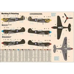 P-40E Aleutian Tiger, 1/72 - Mistercraft D-202 2