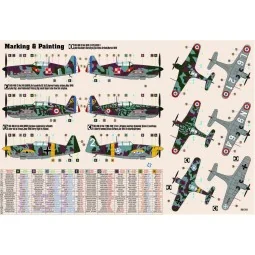 Morane Saulnier MS.406 CI, 1/72 - Mistercraft D-206 2