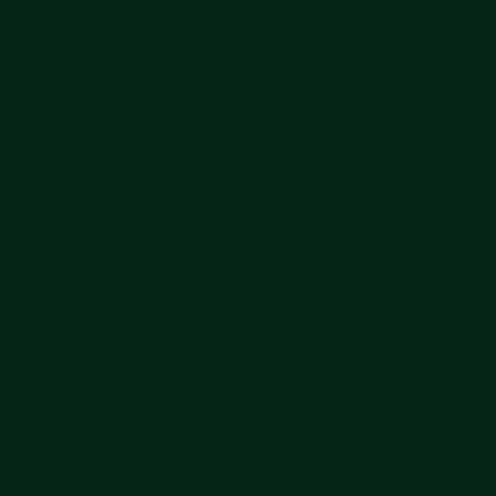 Premium Color: Dark Green 60 ml - Vallejo 62014