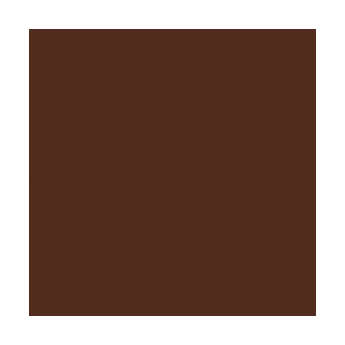 Raw Sienna 60 ml - Vallejo 62017