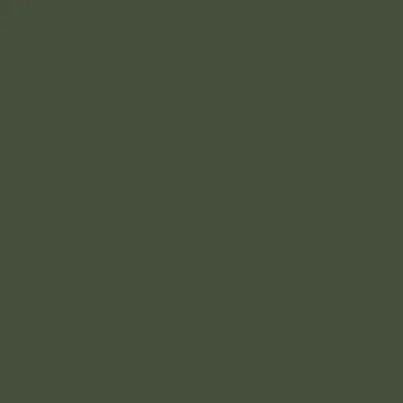 Model Color: 095 - Luftwaffe Green 18 ml - Vallejo 70823