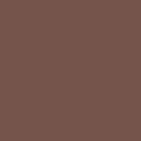 Model Color: 154 - Mahogany Brown 18 ml - Vallejo 70846