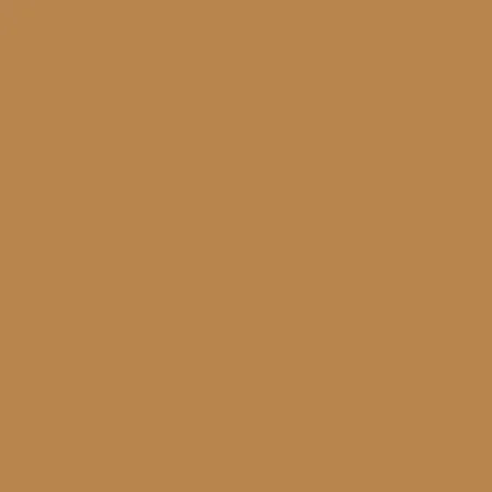 Model Color: 019 - Medium Fleshtone 18 ml - Vallejo 70860
