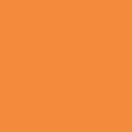 Model Color: 029 - Light Orange 18 ml - Vallejo 70911