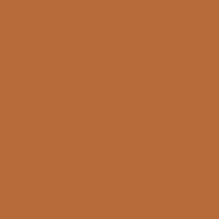 Model Color: 160 - Orange Brown 18 ml - Vallejo 70981