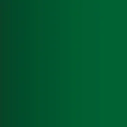 Xpress Color: Troll Green 18 ml - Vallejo 72416 2