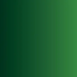 Xpress Color: Forest Green 18 ml - Vallejo 72465 2