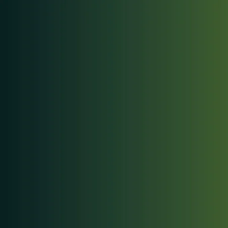 Xpress Color: Armor Green 18 ml - Vallejo 72466
