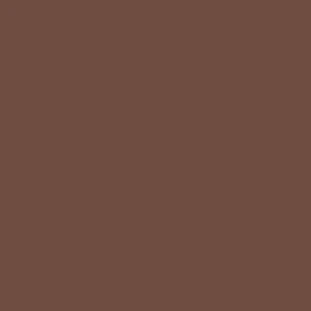 Pigment FX: Burnt Umber 35 ml - Vallejo 73110