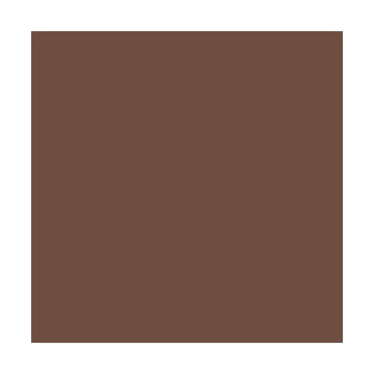 Burnt Umber 35 ml - Vallejo 73110