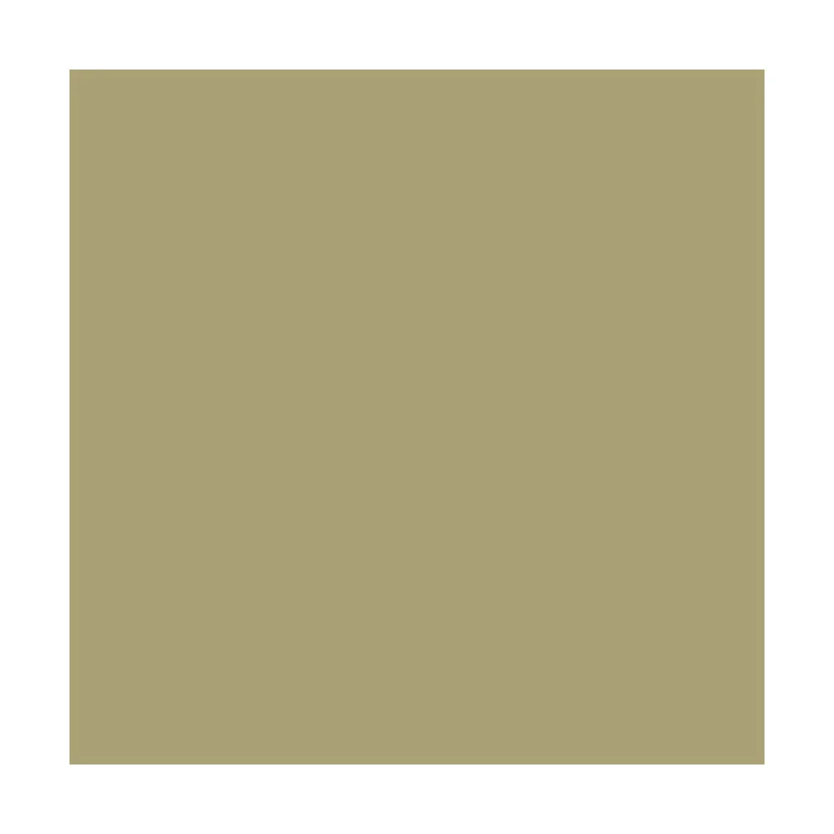 Pigment FX: Green Earth 35 ml - Vallejo 73111 Pigment FX: Green Earth 35 ml - Vallejo 73111