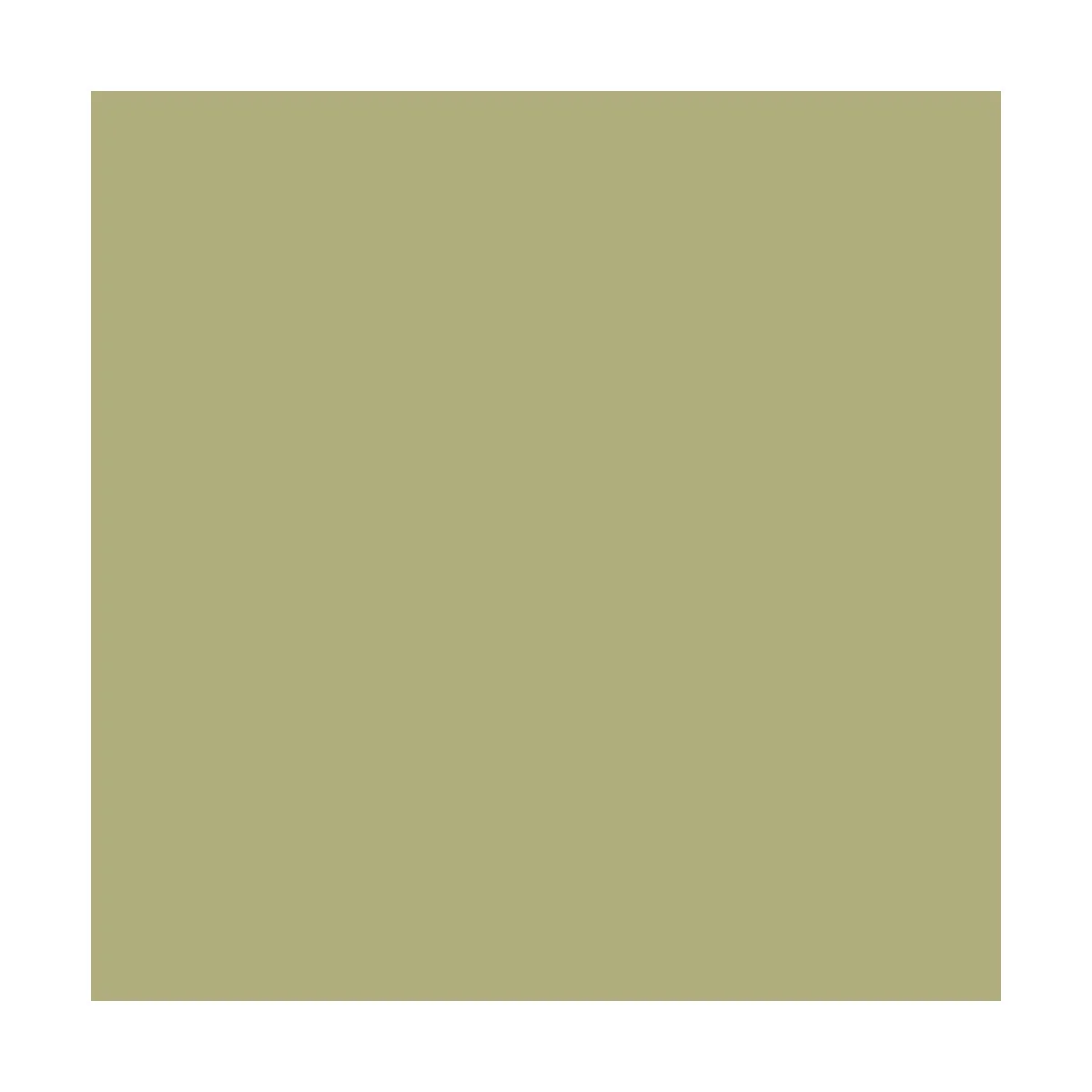 Pigment FX: Faded Olive Green 35 ml - Vallejo 73122 Pigment FX: Faded Olive Green 35 ml - Vallejo 73122