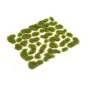 Wild Moss (2 mm) S - Vallejo SC404