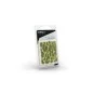 Vallejo Scenery: Wild Tuft Dry Green (6 mm) L - Vallejo SC415 Vallejo Scenery: Wild Tuft Dry Green (6 mm) L - Vallejo SC415