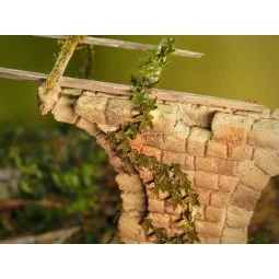 Plants & Weeds A, 1/35 - Matho Models 35035 2