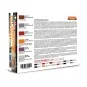 Italian Railways Set 2 6 x 22 ml - Lifecolor XS14