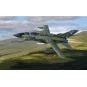 Panavia Tornado GR.1, ZD748/AK, Johnnie Walker 'Still Going Strong'...