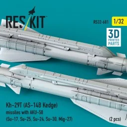 Kh-29T (AS-14B Kedge) missiles with AKU-58 (2 pcs) (Su-17, Su-25, S...