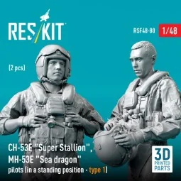 CH-53E Super Stallion, MH-53E Sea dragon pilots (in a standing posi...