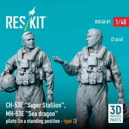 CH-53E Super Stallion, MH-53E Sea dragon pilots (in a standing posi...