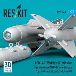 AGM-62 Walleye II missiles (2 pcs) with AN/AWG-16 data link pod (1 ...