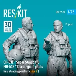 CH-53E Super Stallion, MH-53E Sea dragon pilots (in a standing posi...
