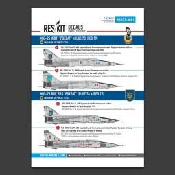 MiG-25RBT, RBF, RBS Foxbat (Blue 73, Blue 74, Red 17, Red 19) Ukrai... 2