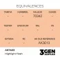 Highlight Flesh - AK Interactive AK11403