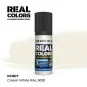 Real Colors: Cream White RAL 9001 17 ml. - AK Interactive RC807