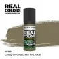 Real Colors: Graugrün-Grey Green RAL 7008 17 ml. - AK Interactive R...