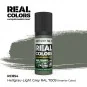 Real Colors: Hellgrau-Light Grey RAL 7009 (interior color) 17 m - A...