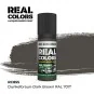 Real Colors: Dunkelbraun-Dark Brown RAL 7017 17 ml. - AK Interactiv...