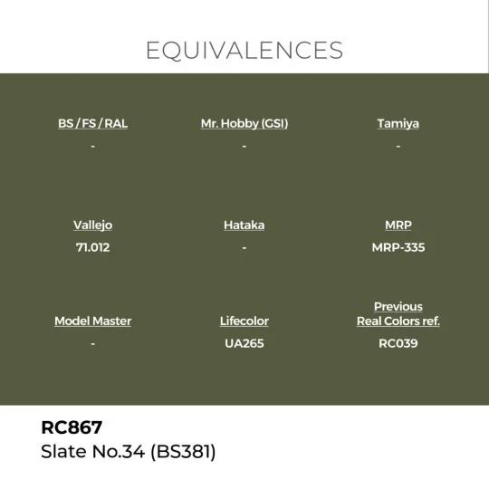 Real Colors: Slate No.34 (BS381) 17 ml. - AK Interactive RC867
