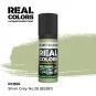 Real Colors: Silver Grey No.28 (BS381) 17 ml. - AK Interactive RC866