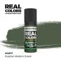 Real Colors: Russian Modern Green 17 ml. - AK Interactive RC877