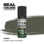 Real Colors: Forest Green FS 34079 17 ml. - AK Interactive RC900