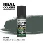 Real Colors: Dull Dark Green FS 34092 17 ml. - AK Interactive RC902