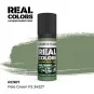 Real Colors: Pale Green FS 34227 17 ml. - AK Interactive RC907