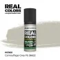 Real Colors: Camouflage Grey FS 36622 17 ml. - AK Interactive RC922
