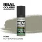 Real Colors: RLM 02 RLM-GRAU (1938) 17 ml. - AK Interactive RC932