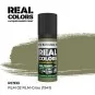 Real Colors: RLM 02 RLM-GRAU (1941) 17 ml. - AK Interactive RC933