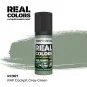Real Colors: RAF Cockpit Grey-Green 17 ml. - AK Interactive RC967