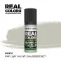Real Colors: RAF Light Aircraft Grey BS381C/627 17 ml. - AK Interac...
