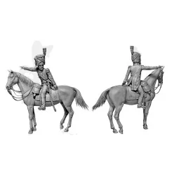 Napoleonic Wars Era. The Old Guard Officer, 1/32 - Master Box Ltd. ...