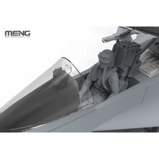 Boeing F/A-18E Super Hornet Golden Dragons, 1/48 - MENG-Model LS-023 Boeing F/A-18E Super Hornet Golden Dragons, 1/48 - MENG-Model LS-023