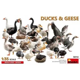 Ducks & Geese, 1/35 - MiniArt 38114