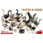 Ducks & Geese, 1/35 - MiniArt 38114 Ducks & Geese, 1/35 - MiniArt 38114