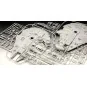Millennium Falcon, 1/72 - Revell 06718 Millennium Falcon, 1/72 - Revell 06718