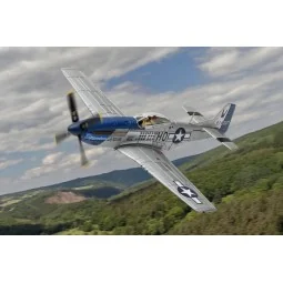 North American P-51D Mustang, ‘Moonbeam McSWINE’, William T. ‘Bill’...
